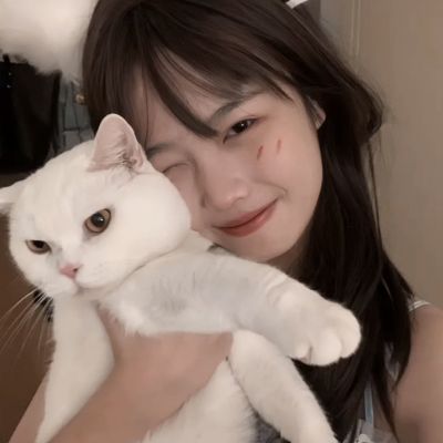 风之大冒险taptap版下载