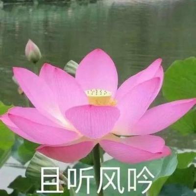 虚拟沉浸式教学融入康复类人才培养